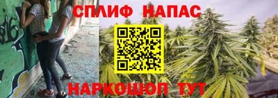 spice Коммунар