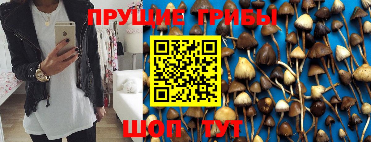 Псилоцибиновые грибы ЛСД Дальнереченск