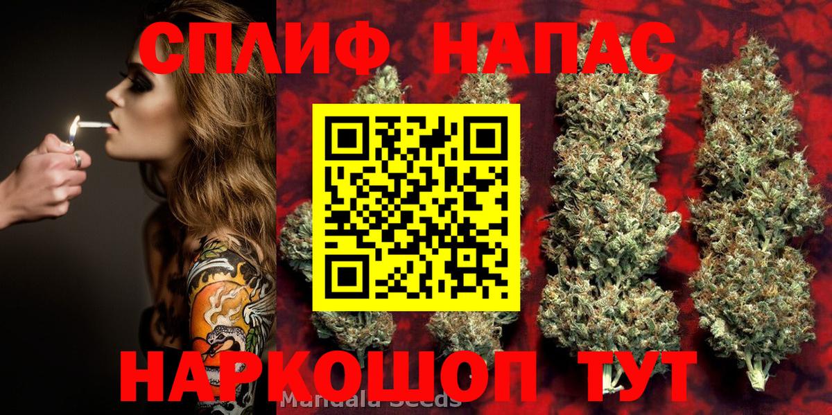 Канабис планчик Дальнереченск
